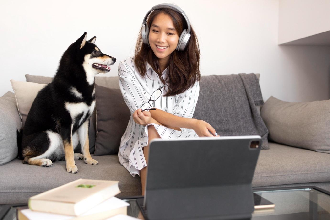 Why Reliable Communication Is Critical in Veterinary Care