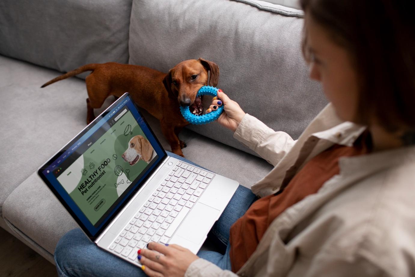 Enhanced Outbound Communication for Pet Care: Pre-Visit Instructions & Regular Check-Ins