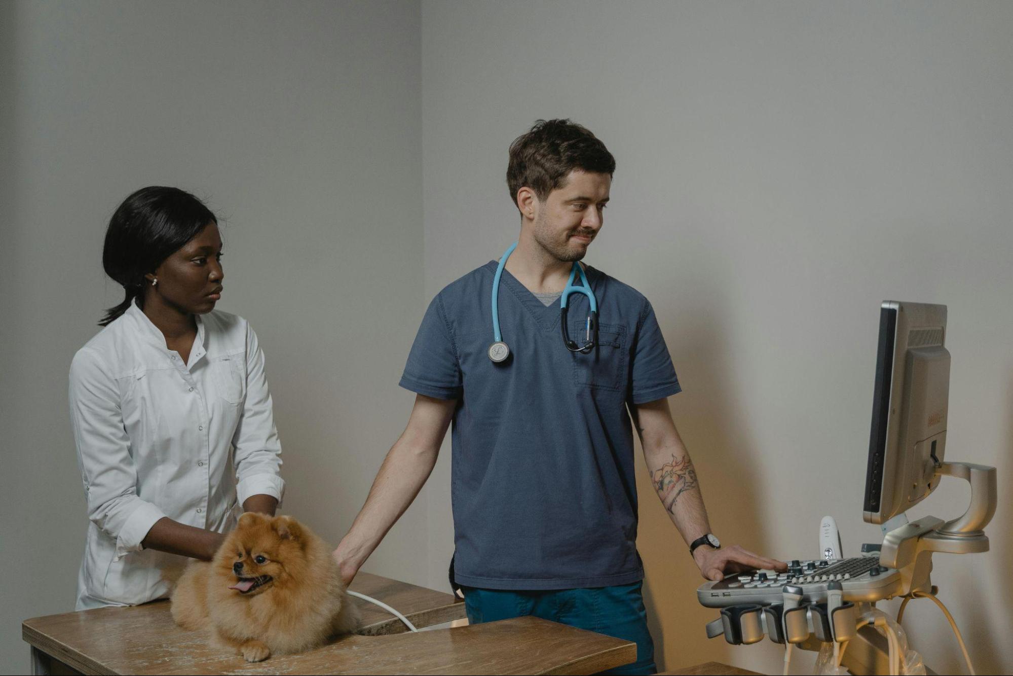 Cost Benefits in Veterinary Care: Comparing Voice AI with Traditional Answering Services