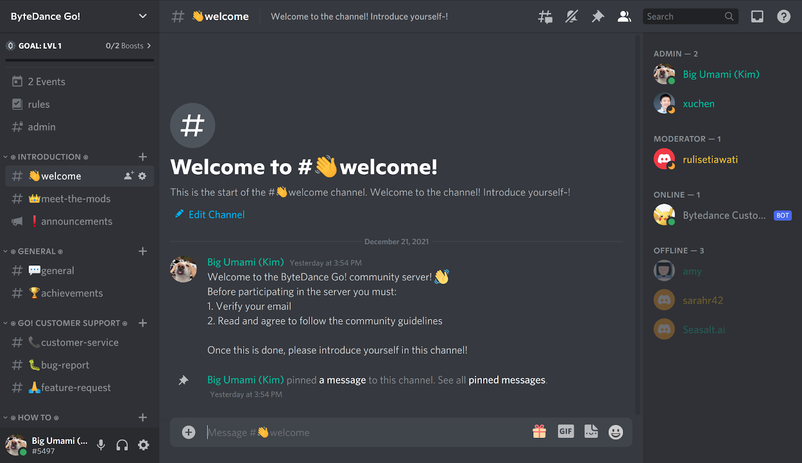 Fully customized Discord server.