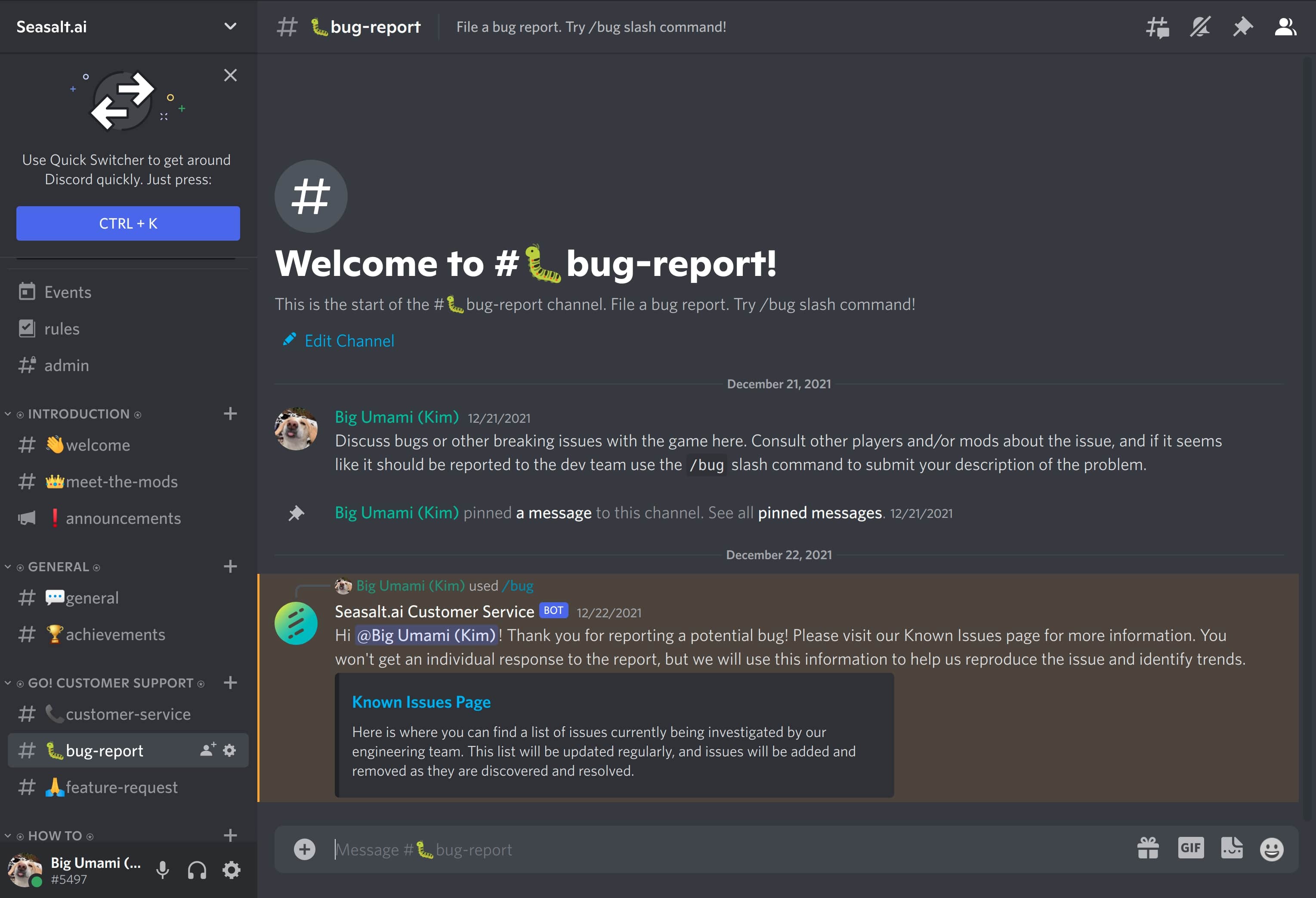 The bug report channel on the Discord server, featuring a submitted bug report.