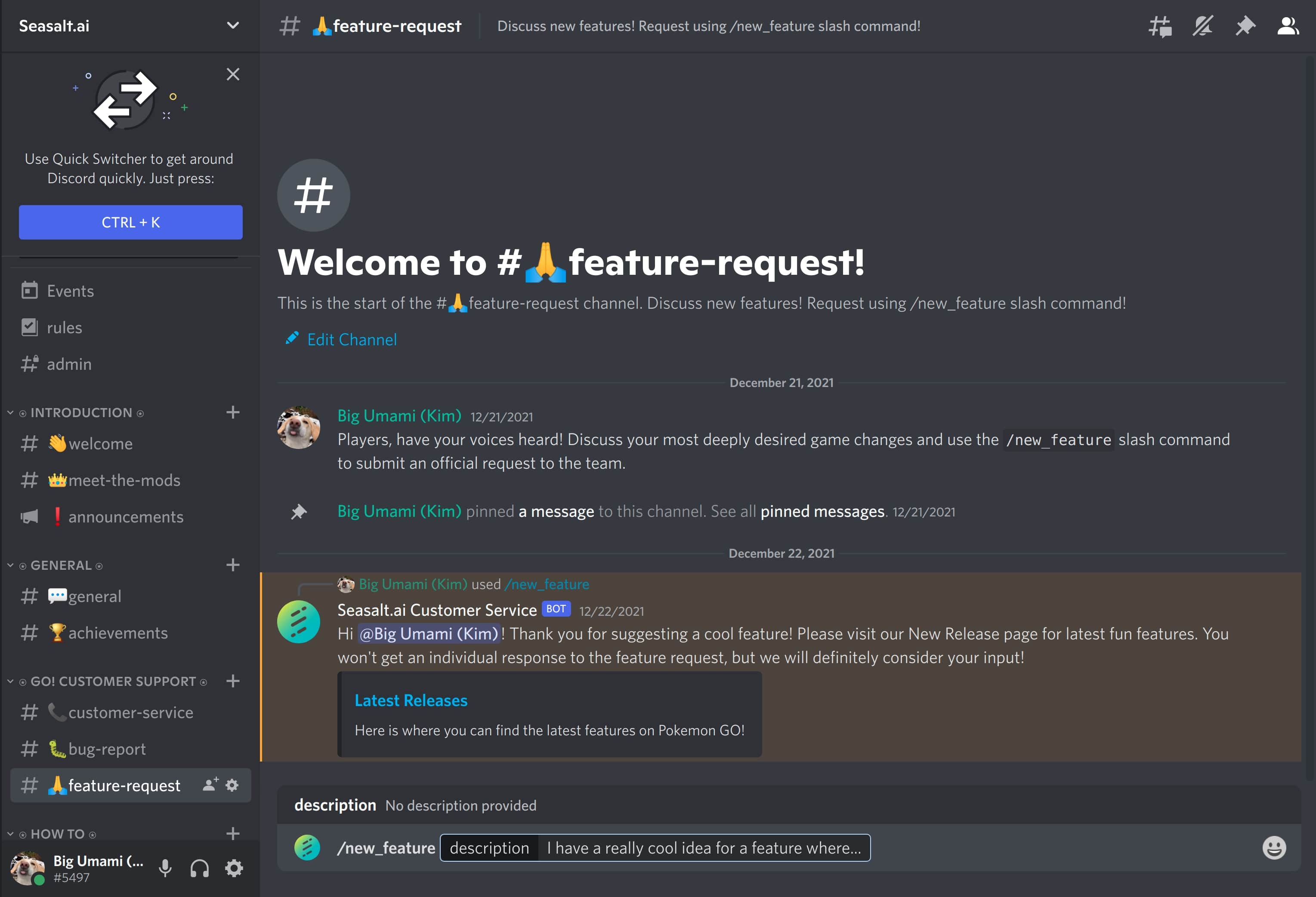 The feature request channel on the Discord server, featuring a user performing a slash command.